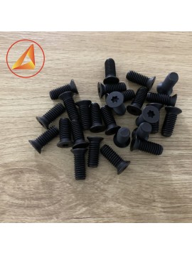 Vít hoa thị M5x15